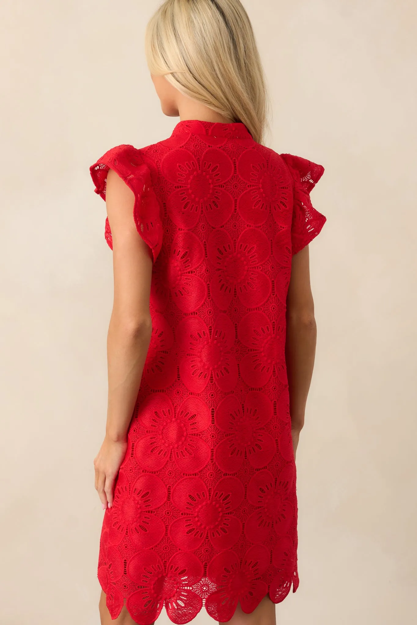 Between The Vines Red Floral Embroidered Mini Dress