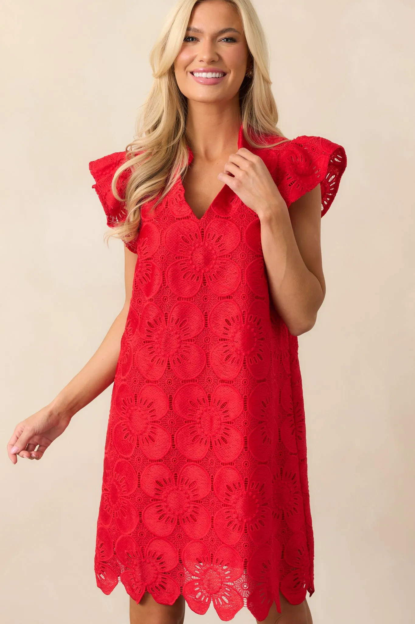 Between The Vines Red Floral Embroidered Mini Dress