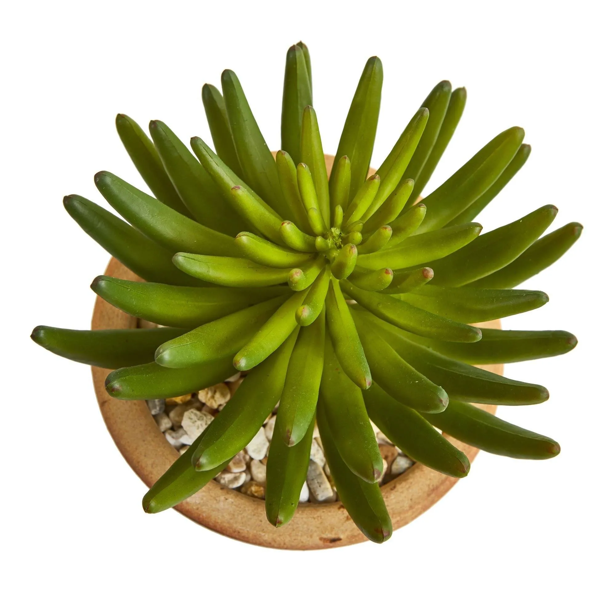 Large Succulent Artificial Plant in Ceramic Vase (Set of 2)