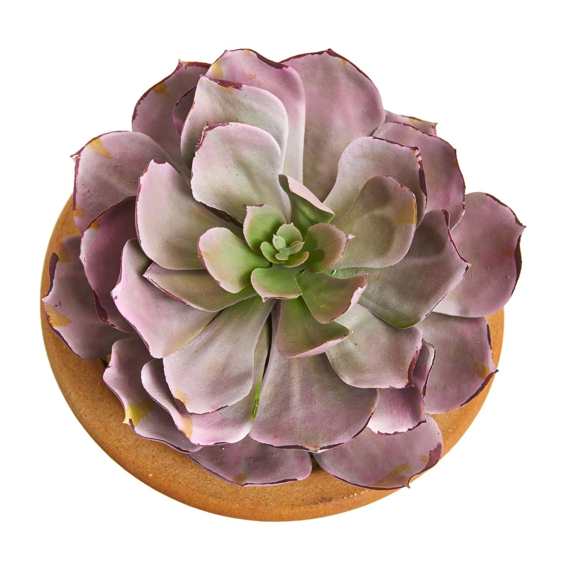 Large Succulent Artificial Plant in Ceramic Vase (Set of 2)